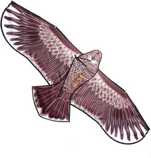Aquilone spaventa uccelli - aquilone,