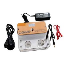 Pennello placcato oro