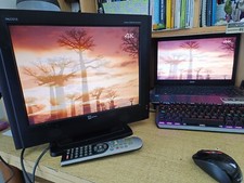 Monitor Pc Telesystem Palco 15