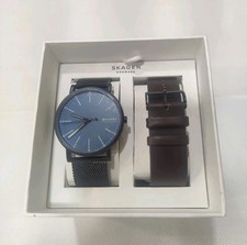 Set Cinturino Orologio Skagen