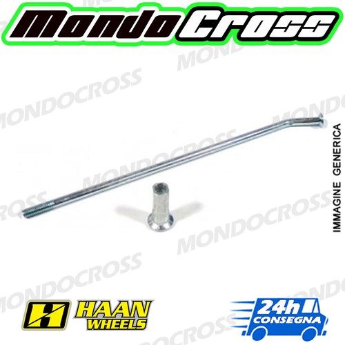 Raggio con nipples haan wheels - raggio,