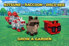 OFFERTA Kitsune Procione