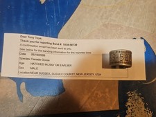 2008 SUSSEX NUOVA MAGLIA