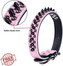 Serijoars Spiked Leather Dog