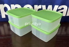 Tupperware Piccolo Congelatore