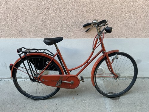 Bici olandese vintage anni - vintage,