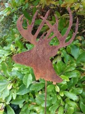 Spina da giardino in acciaio