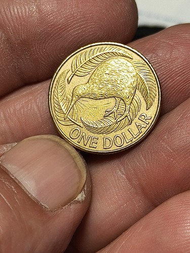 Nuova zelanda moneta 1 - nuova,
