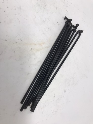 Kit 10pz raggi - 10pz,