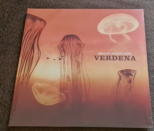 Verdena solo grande sasso - ,