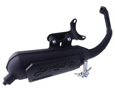 Marmitta MALOSSI Wild Lion per