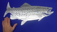 Trota maculata uomo grotta