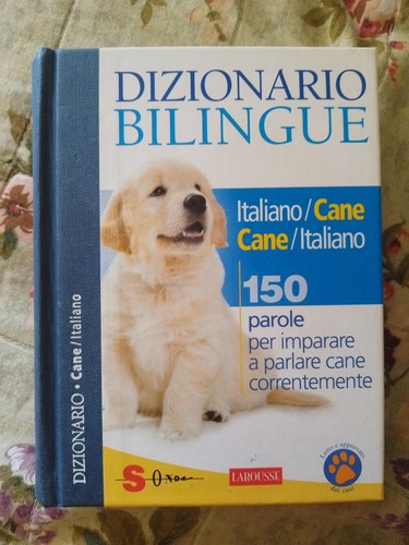 Dizionario bilingue