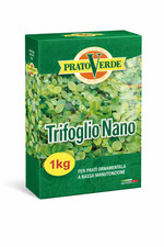 Prato Verde TRIFOGLIO NANO