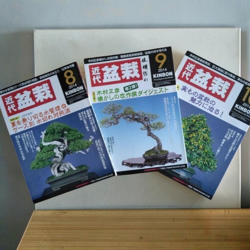Modern bonsai magazine - bonsai,