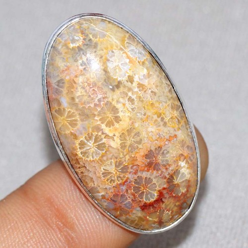 Anello corallo fossile