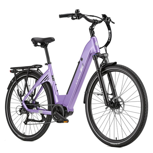 Bicicletta elettrica ttgo - bicicletta,