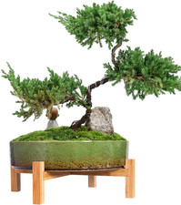 Vasi per Piante - Vaso per