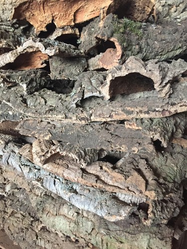 Corteccia sughero presepi - corteccia,