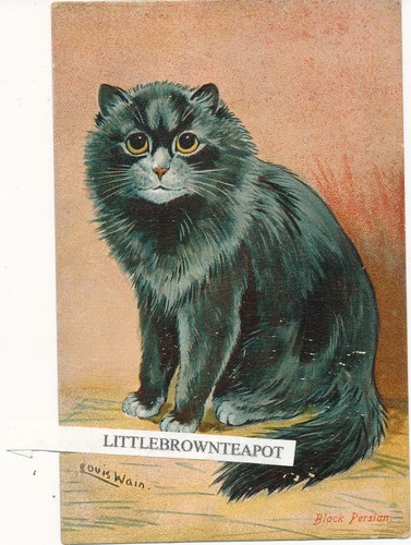 Louis wain postcard cat black - postcard,