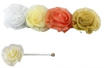 Set 12 Pz Calamite Lega Tenda