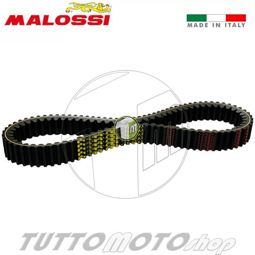 Cinghia trasmissione malossi - cinghia,