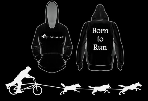 Siberian husky rig born run - siberian,