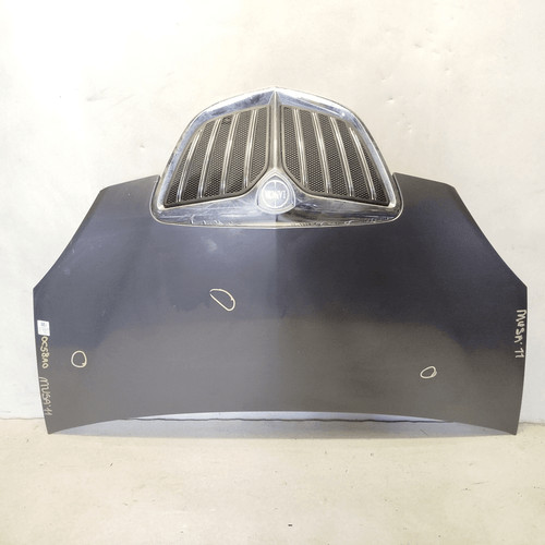 51732277 cofano ant lancia - cofano,
