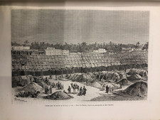 Incisione originale stampa