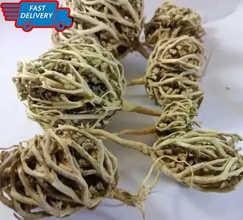 400g rosa gerico fiore - rosa, di