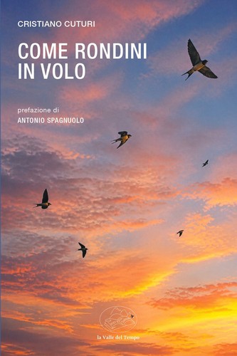 Come rondini volo cuturi - volo,