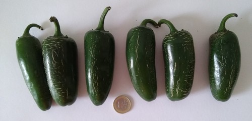 Jalapeño jumbo extra large - jalapeÑo,
