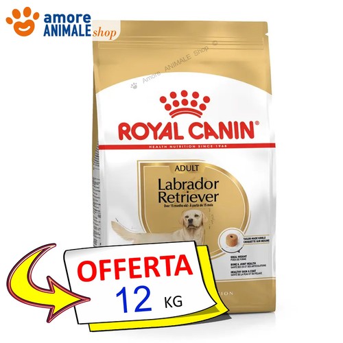 Royal canin labrador retriever - labrador,
