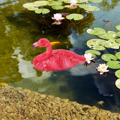 Acquario accessori arredamento - acquario,