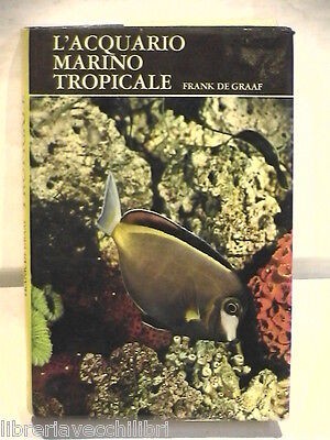 Acquario marino tropicale - marino,