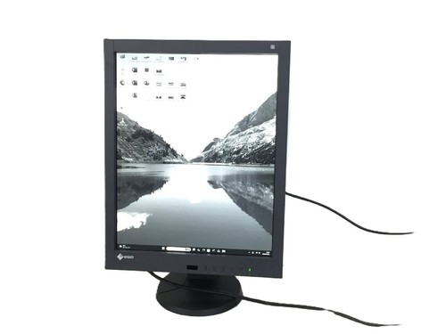 Monitor medico monocromatico