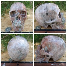 Huge 5.1" Cipolin Skull 3.0lb