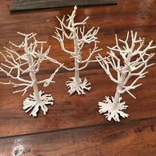 Ramo di albero nudo bianco