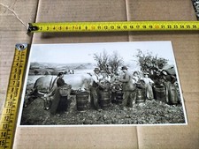 Vecchia Foto in Bianco e Nero Vintage Da Collezione Vendemmia Contadini