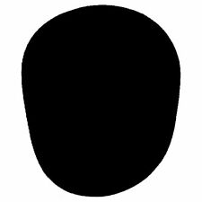 SPUGNA DI RICAMBIO ANTIVENTO