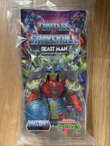 Motu turtles grayskull - of,