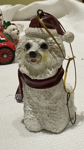 Bichon frise cane cucciolo - frise,