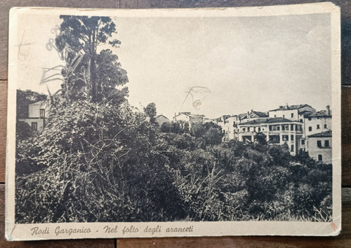 Anni rodi garganico in - 60,