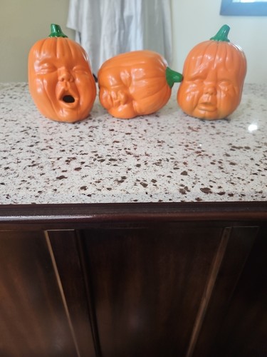 Teste zucca vintage - teste,