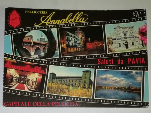 Pellicceria annabella pavia - pellicceria,