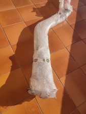 Scarico con marmitta catalitica BMW 320i E90/E92