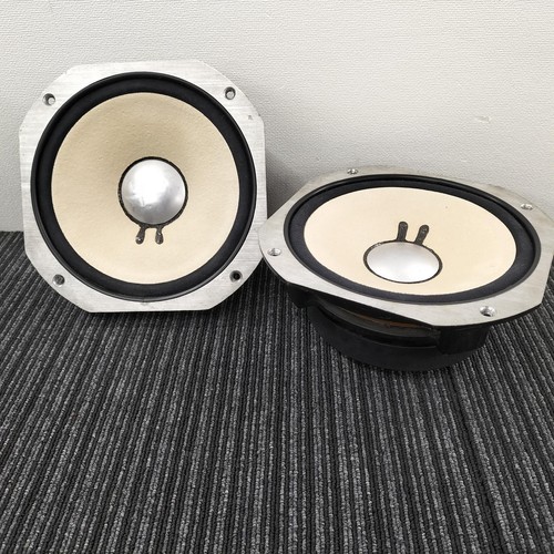 Coppia altoparlanti full range
