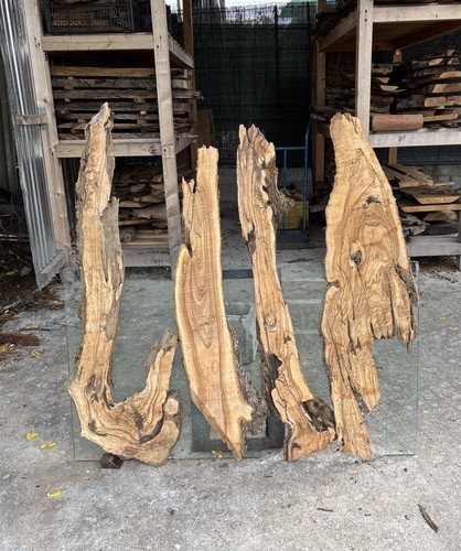 Tavole legno ulivo 4 - di,