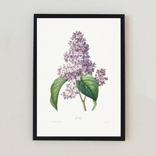 Botanical Vintage Flower