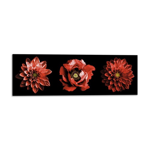 Quadro stampa tela con - su,